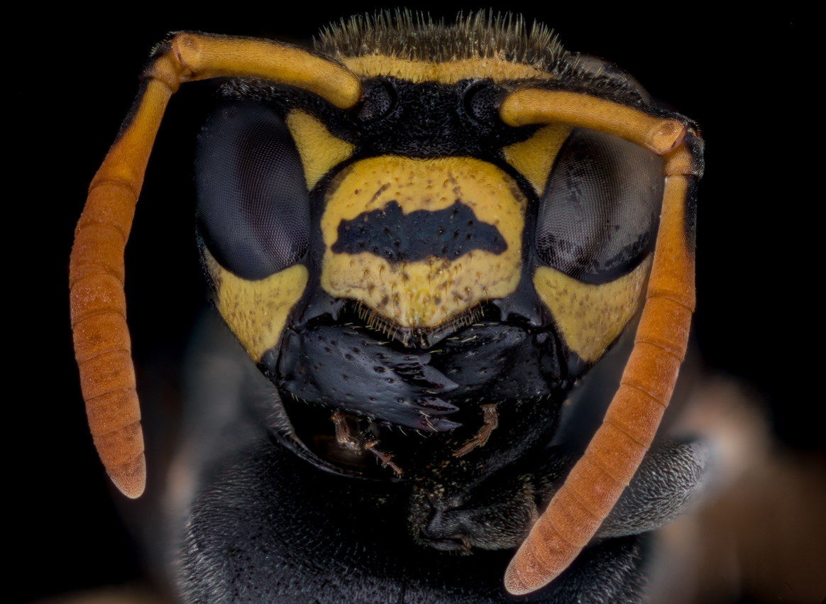 20170519-Bild4_2017-05-28-22.31.17 ZS PMax-Bearbeitet-Bearbeitet-Bearbeitet - Kopie_WEB.jpg