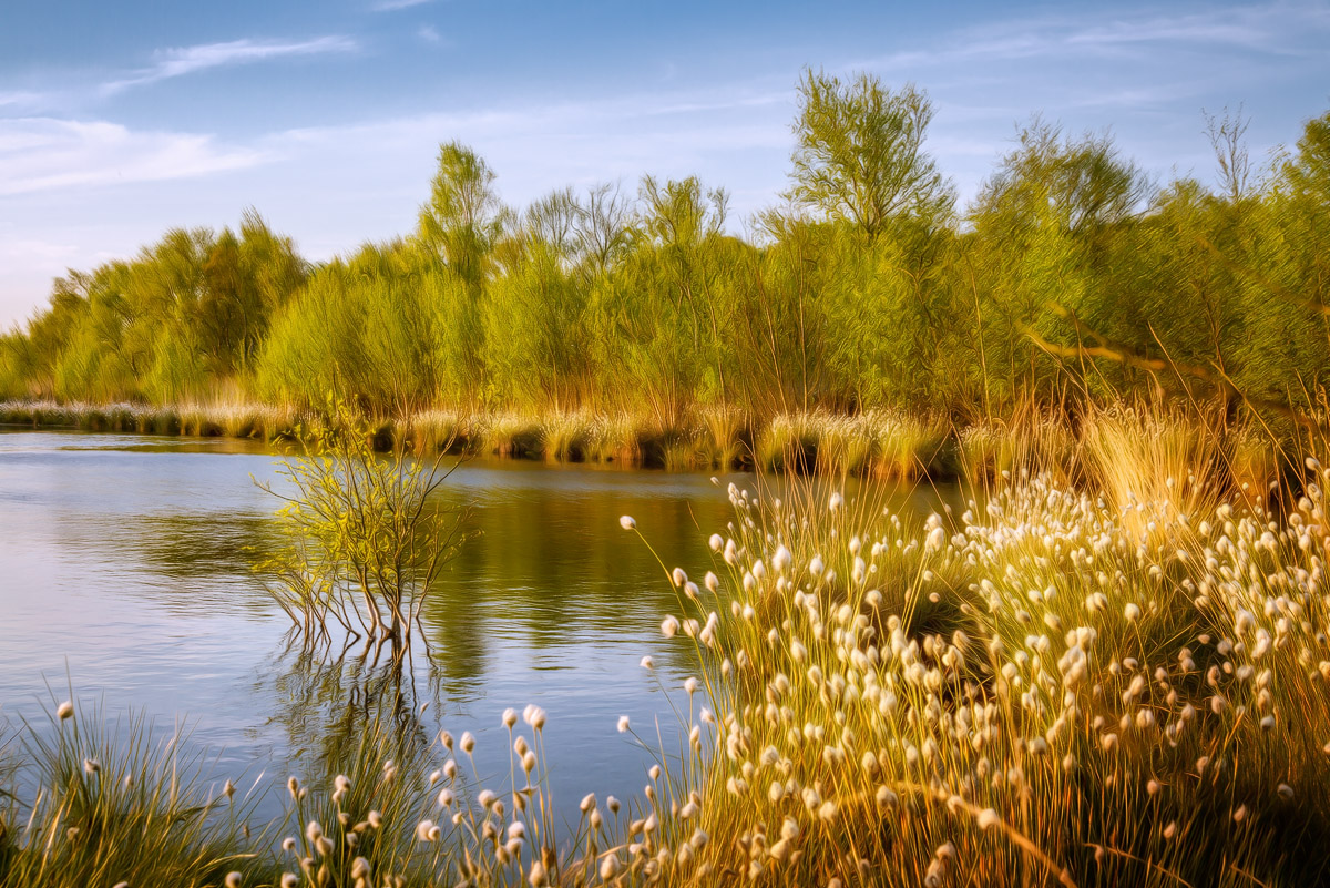 D7_25293-HDR-Bearbeitet - Kopie.jpg