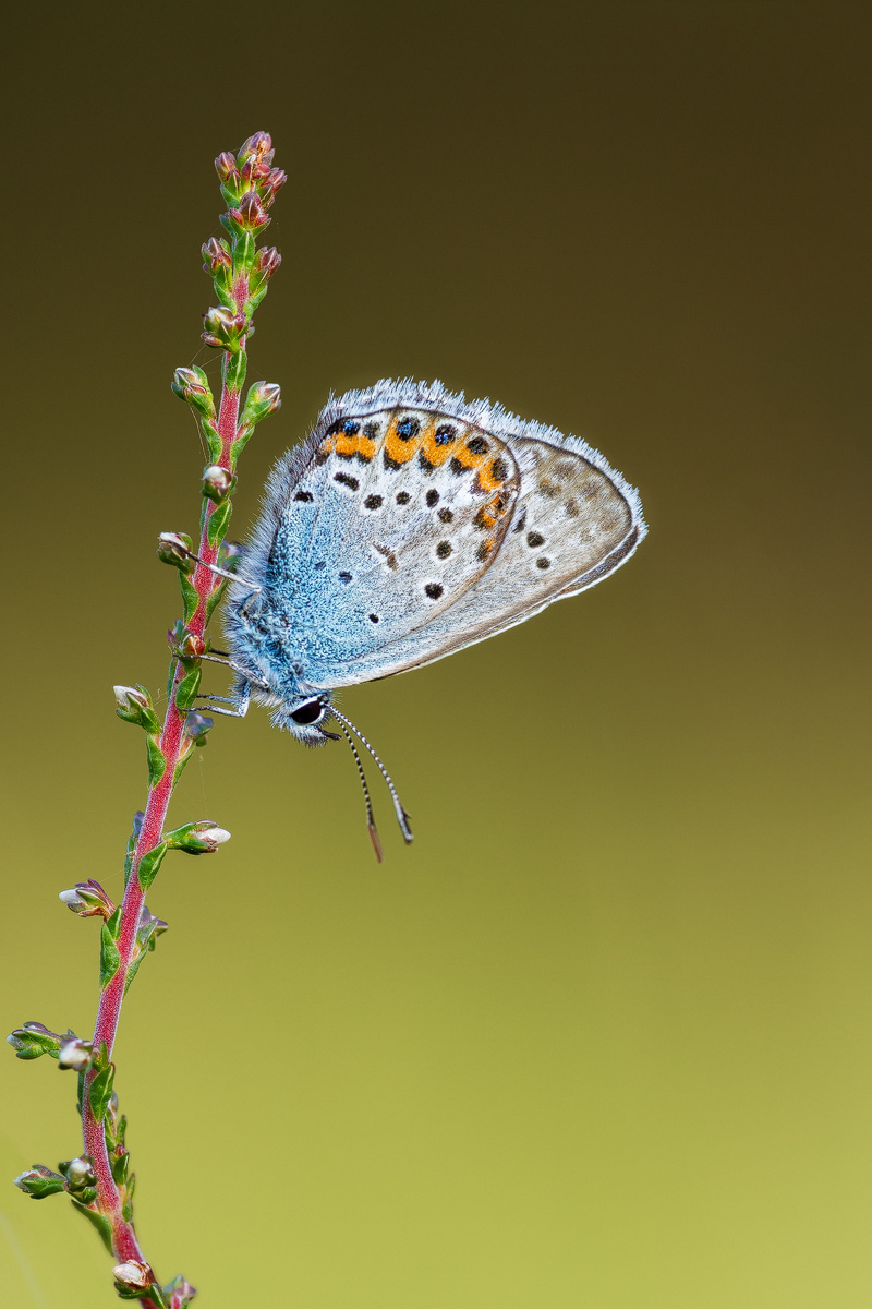 D7_25402-Bearbeitet - Kopie.jpg