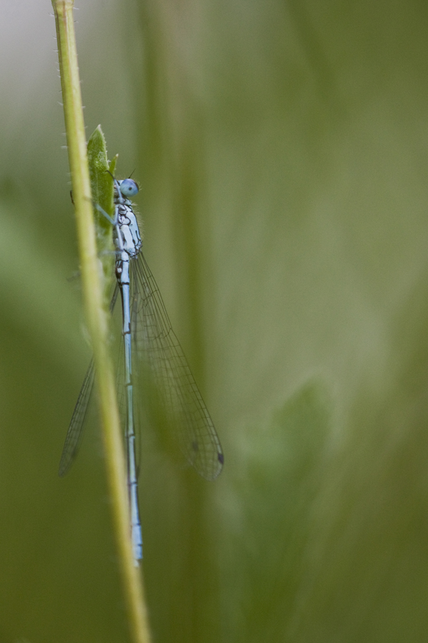 IMG_9897-klein.jpg