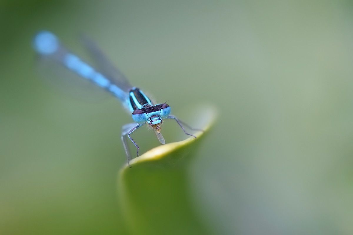 DSC_3142.jpg