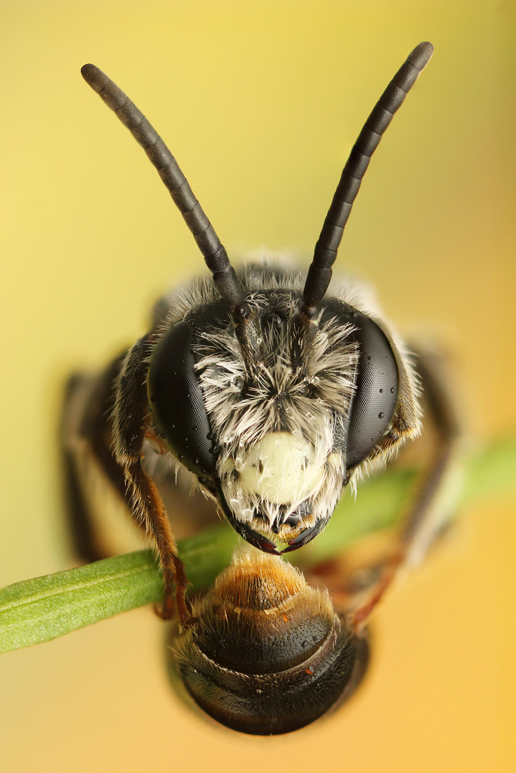 Stack 2bea2small.jpg