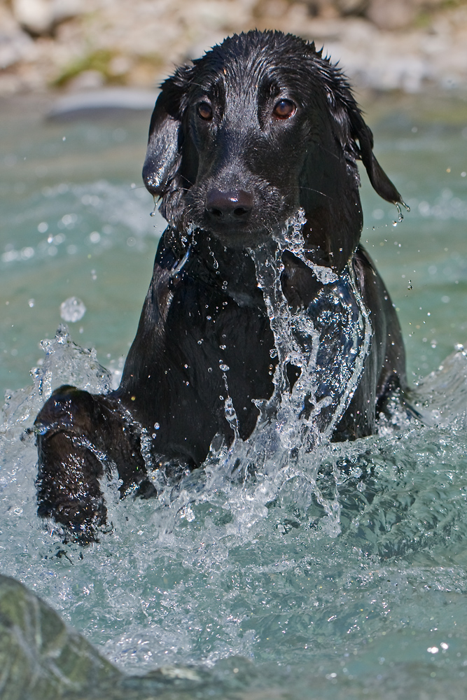IMG_6606-wildwasser.jpg