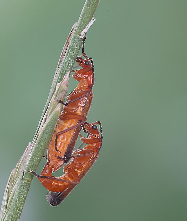 P7016080 Kopie_filtered.jpg