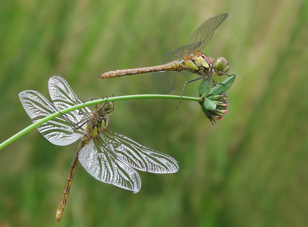 zwei2 Kopie_filtered.jpg