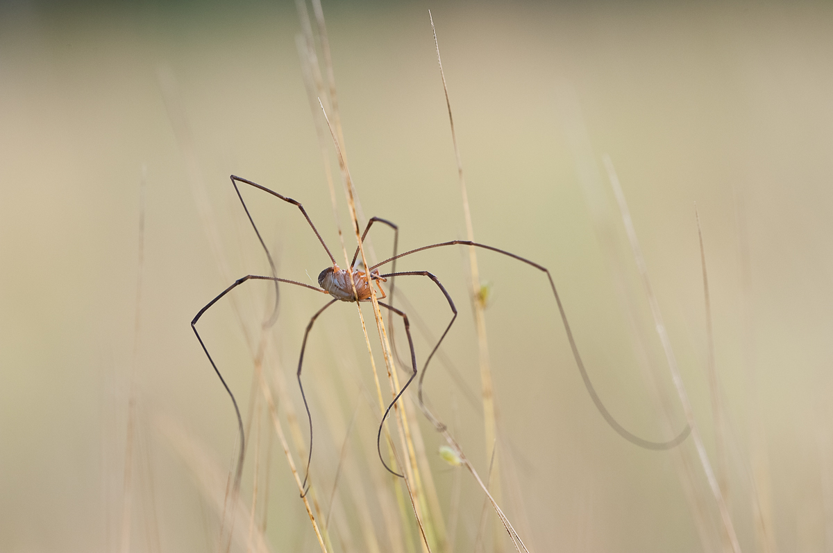 I'm walking...-1549.jpg