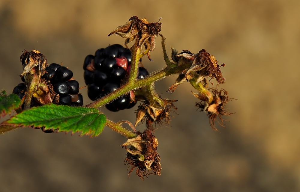 _DSC6171 - Arbeitskopie 2.jpg