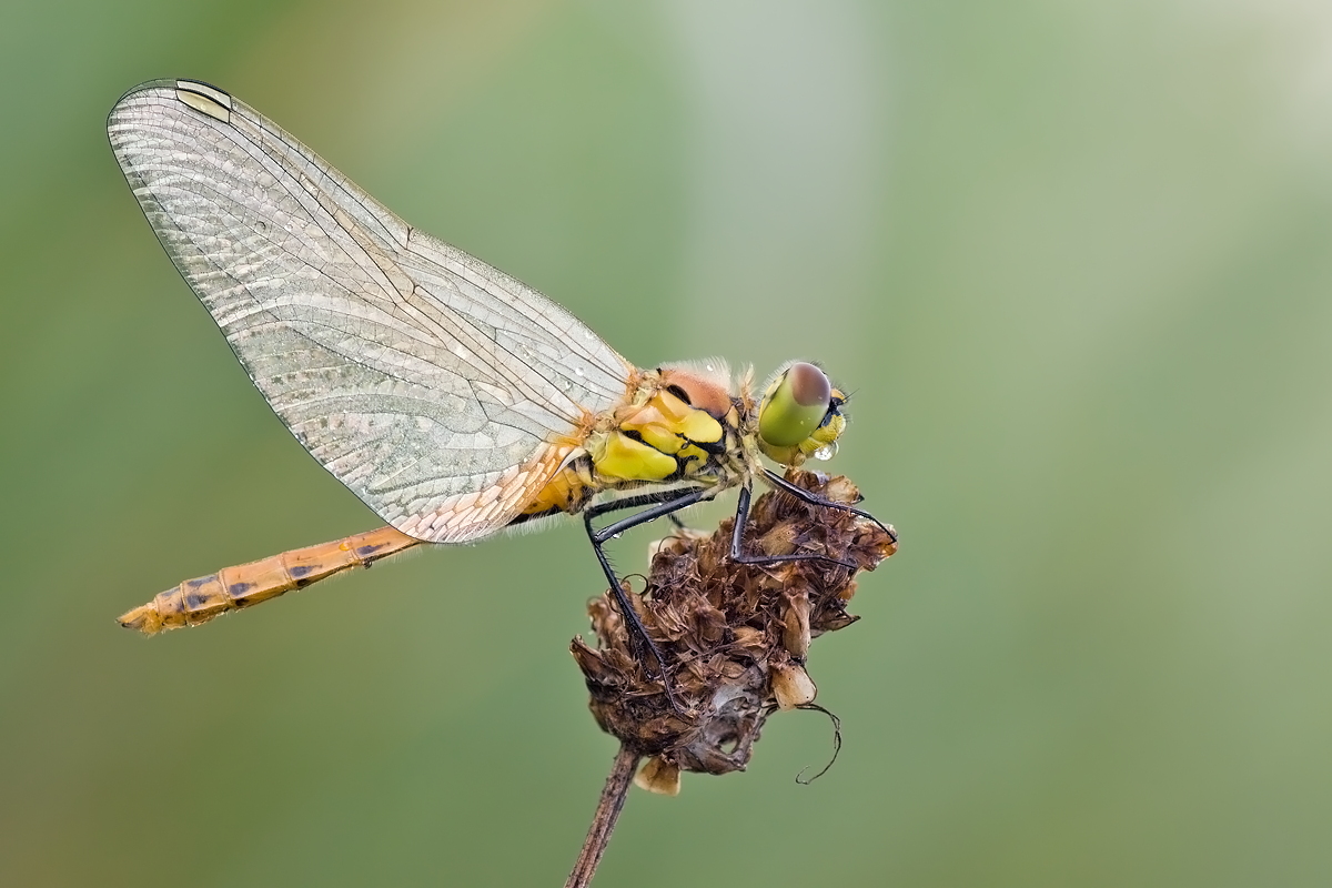 02.08.2012-rosenheim 183.JPG
