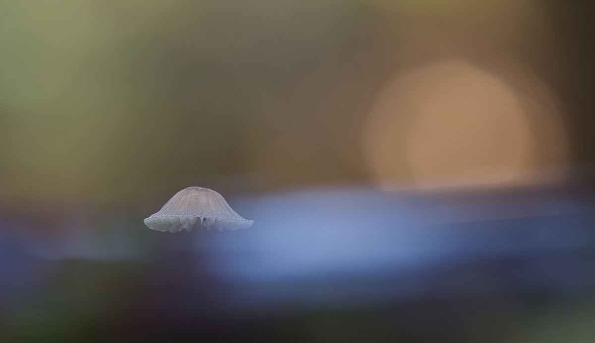 9569.jpeg-1.jpg
