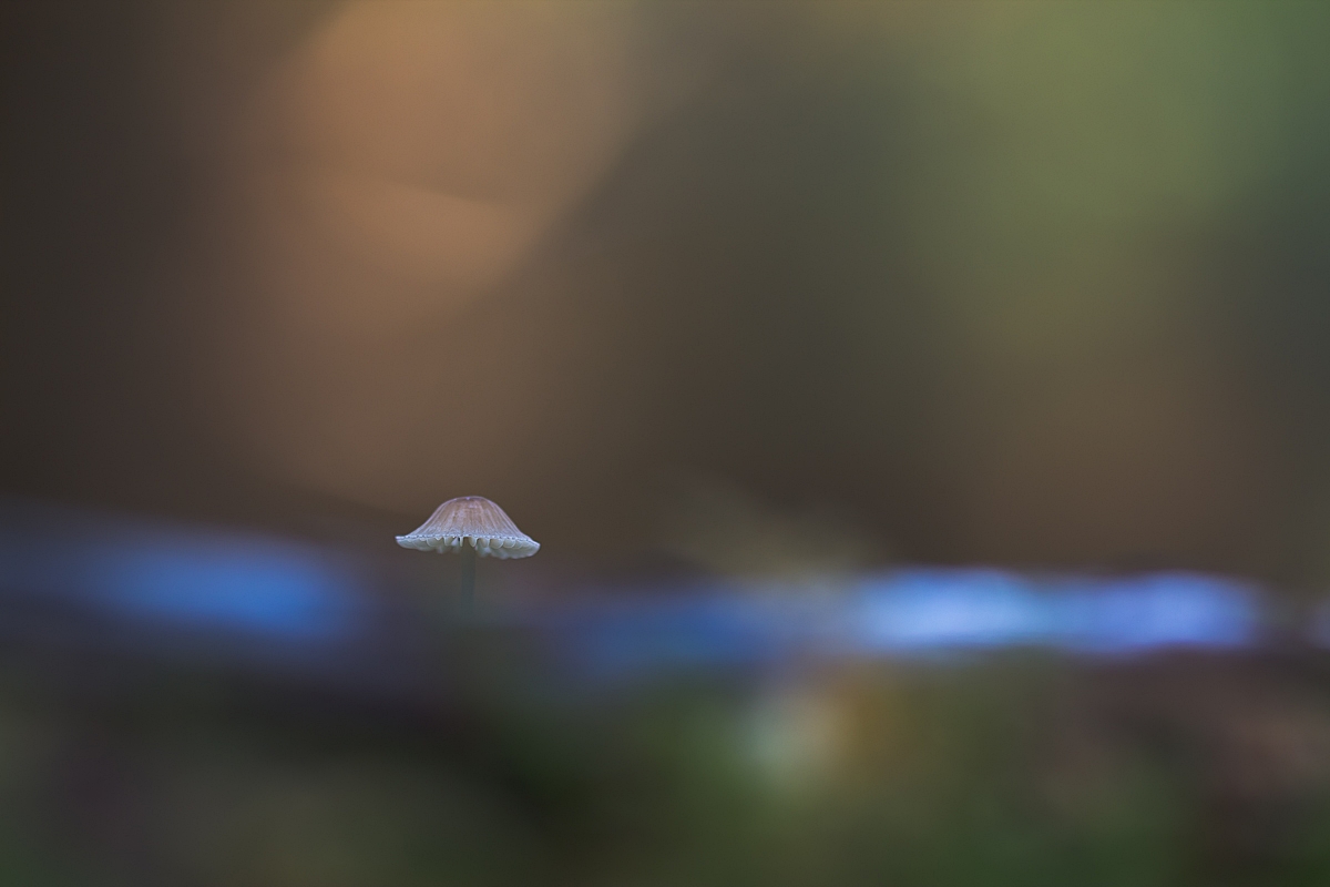 9579.jpeg-1.jpg