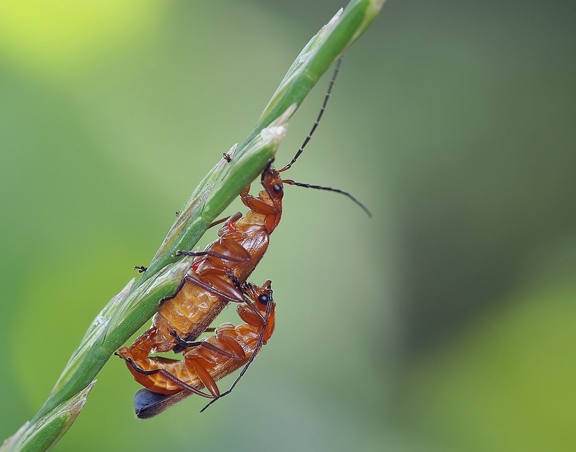 P7106622 Kopie_filtered.jpg