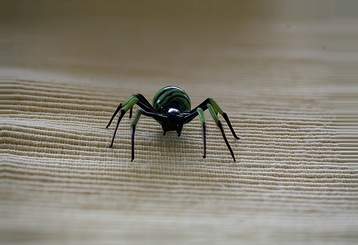 comp_Spinne.jpg