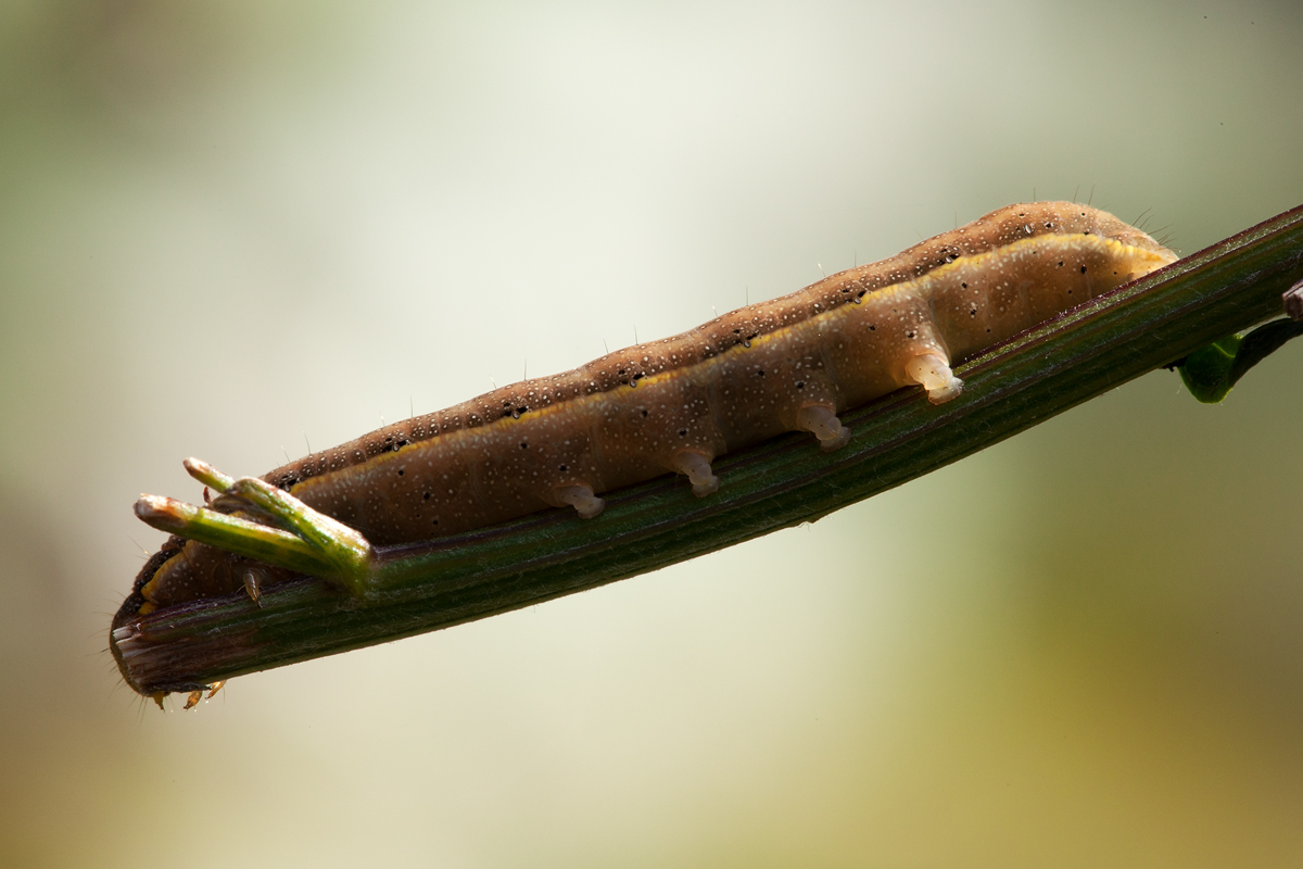 20121018_0014-1479.jpg