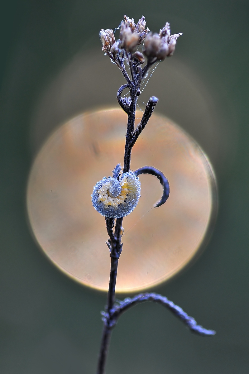 stack aus 2 F bb_filtered.jpg