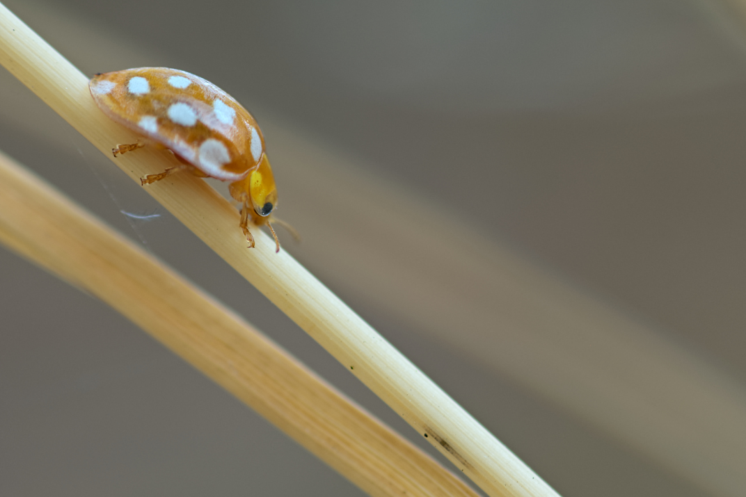 D90_11293.jpg