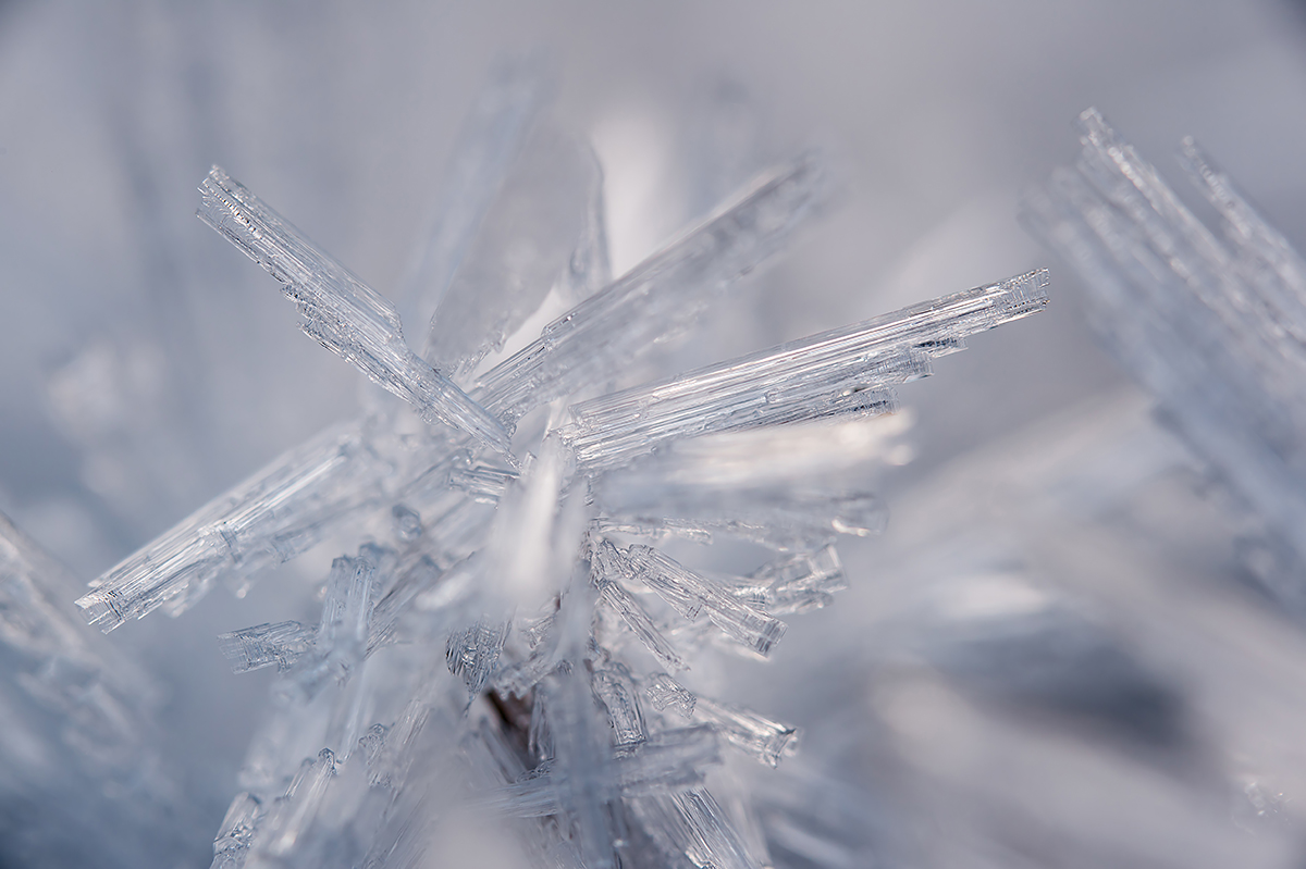 Eisnadeln21.11.2012OberseeDSC_5975a - Kopie.jpg