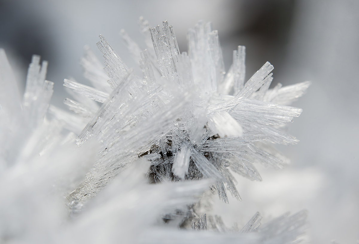 Eisnadeln21.11.2012OberseeDSC_6008 87% - Kopie.jpg