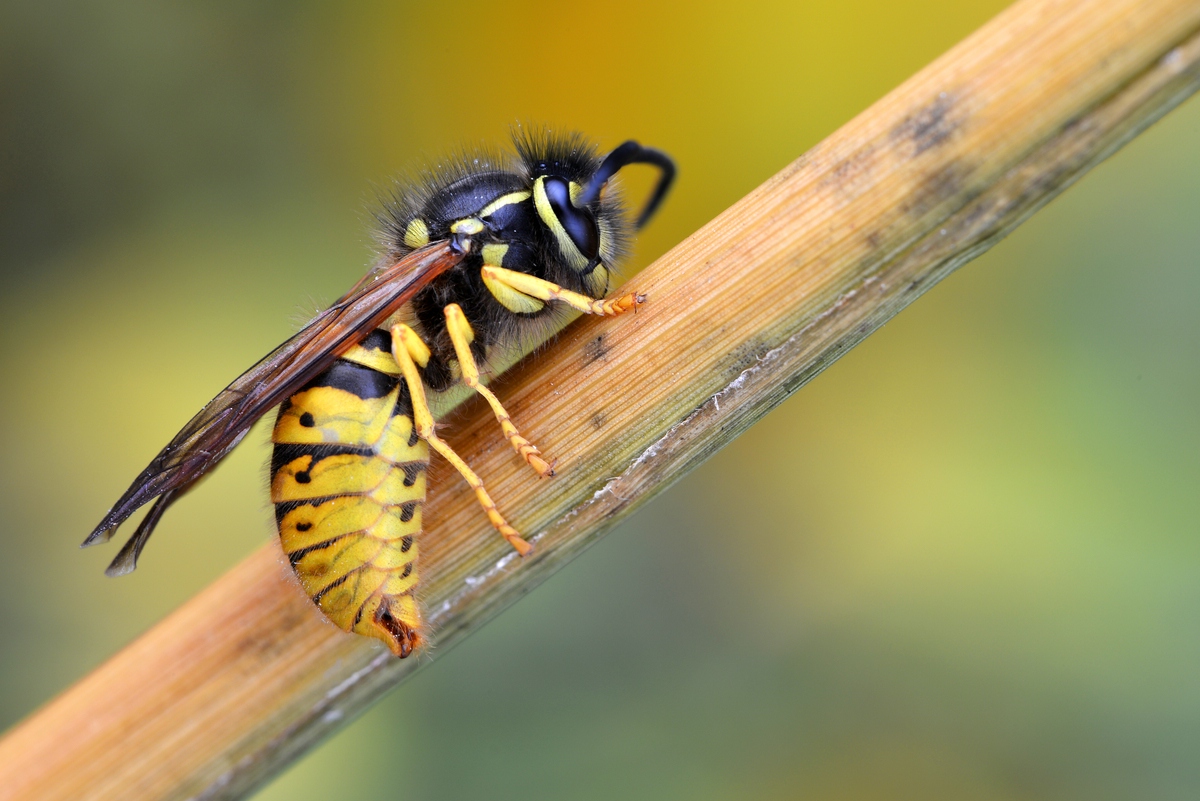 comp_DSC_2261.jpg