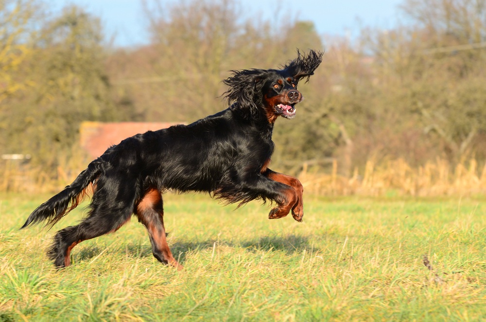 DSC_8295 - Kopie.JPG