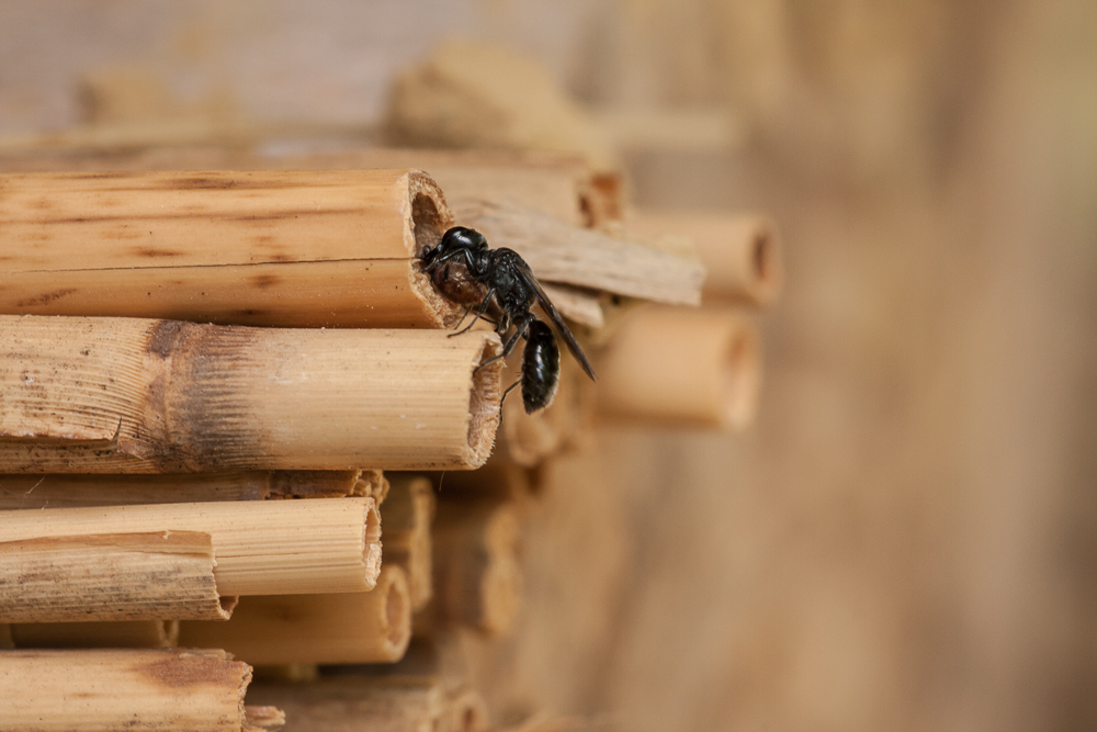 2012.06.11 16-14-57 1703.jpg