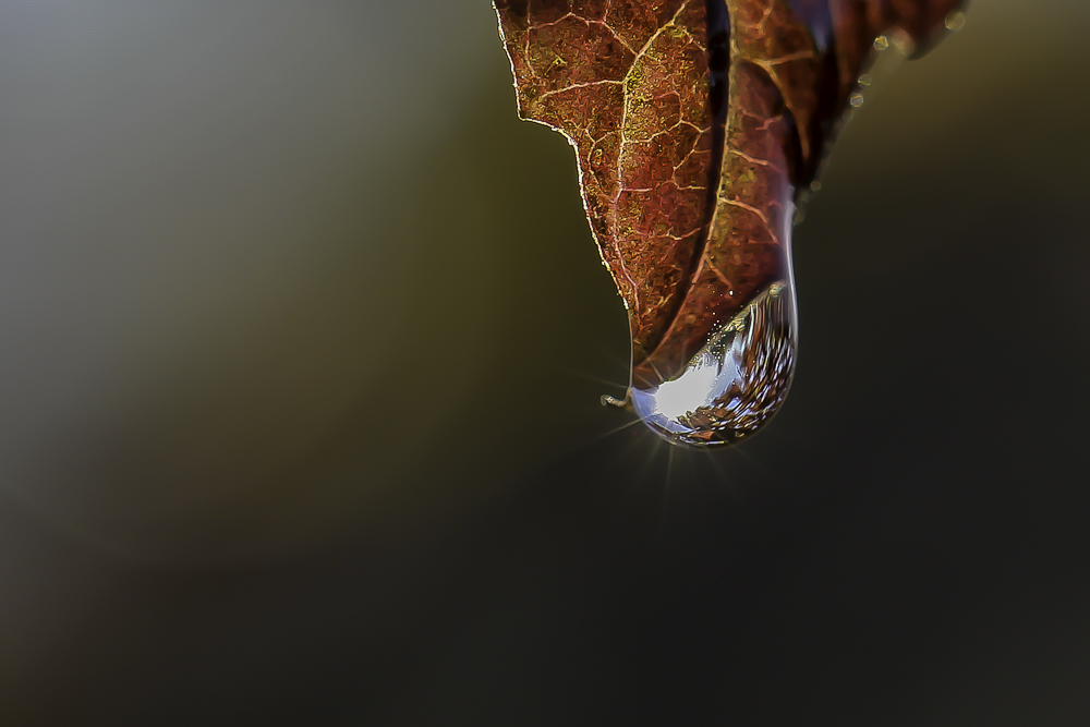 20121028-IMG_4770-3.JPG