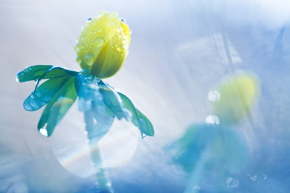 IMG_2105 als Smart-Objekt-1000px.jpg