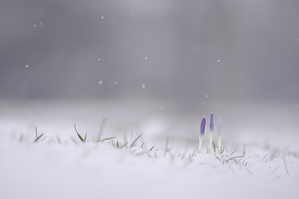 DSC03537 - Arbeitskopie 2.jpg