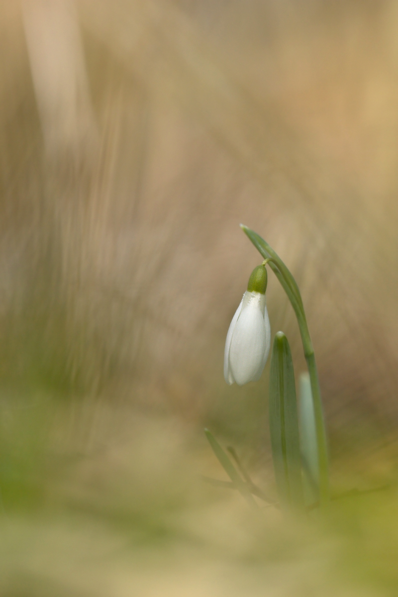 IMG_8123_2 Kopie.jpg