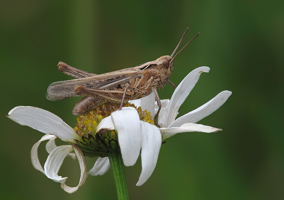 flip4 Kopie_filtered.jpg