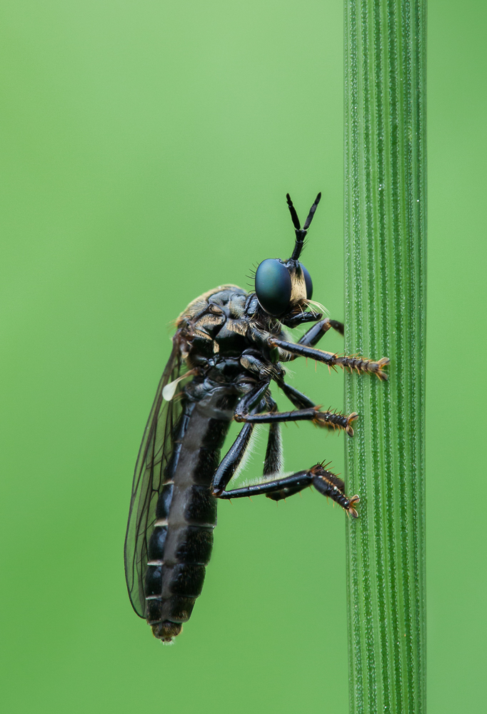 2013.05.19 10-50-28 1021-Bearbeitet-2.jpg