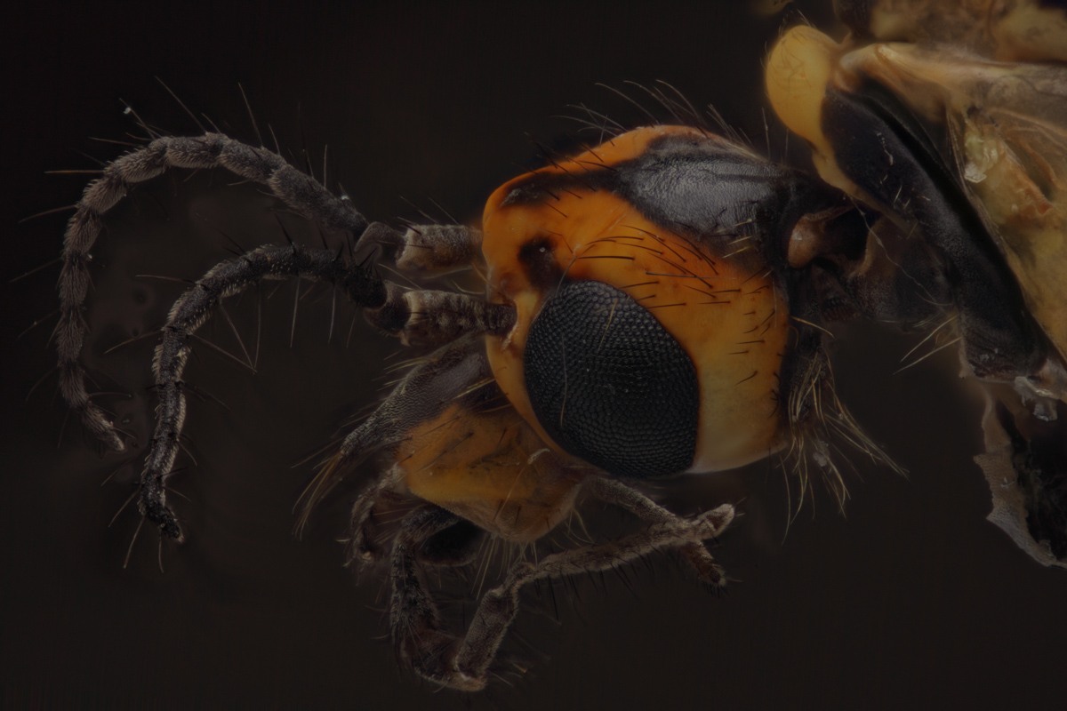 2013-05-29-18.01.09 ZS retouched-1.JPG