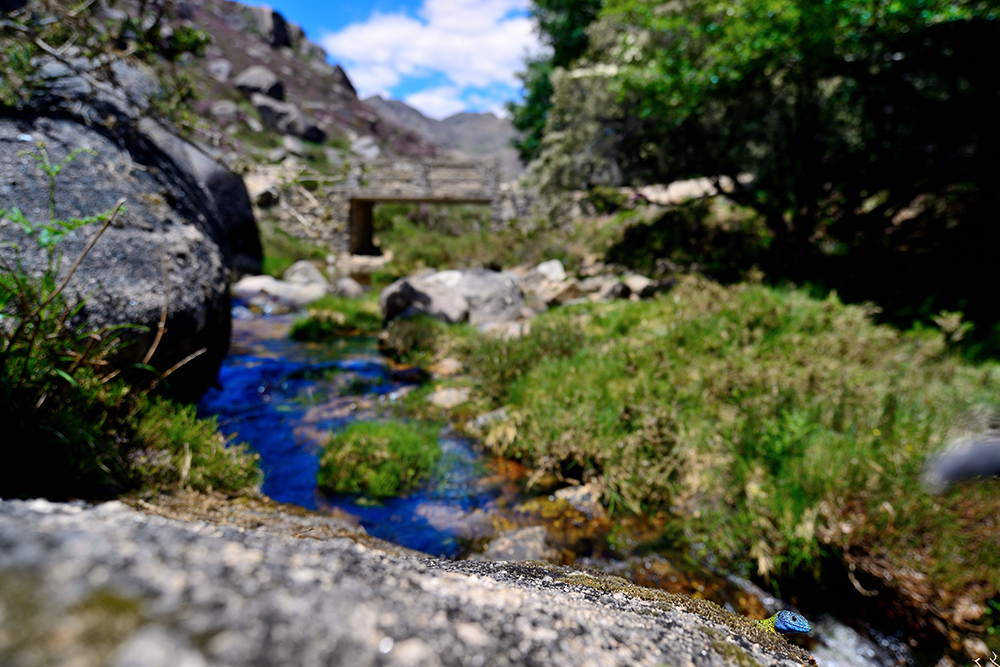 DSC_3262.jpg