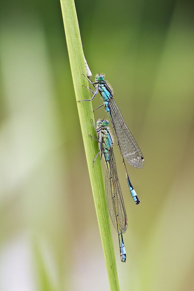 IMG_2938-2web.jpg
