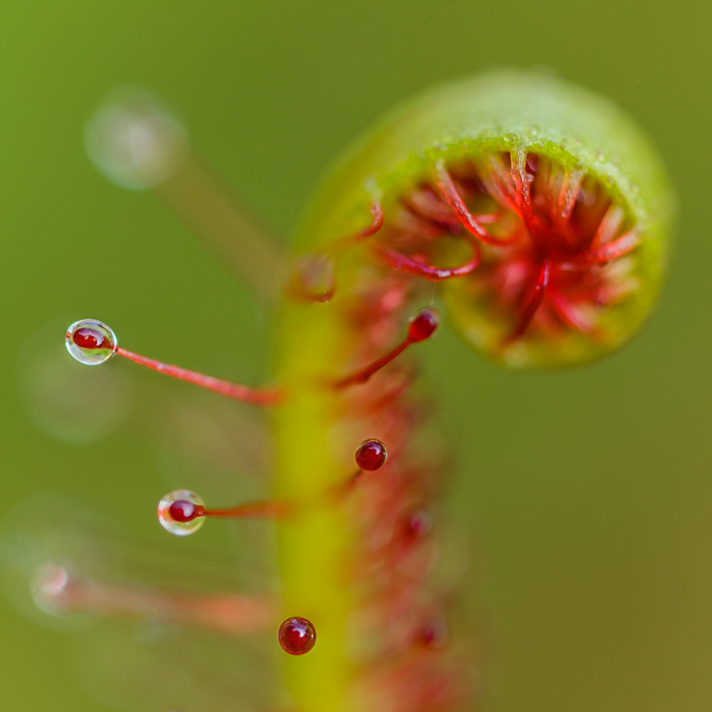 20130611_0072-1680.jpg