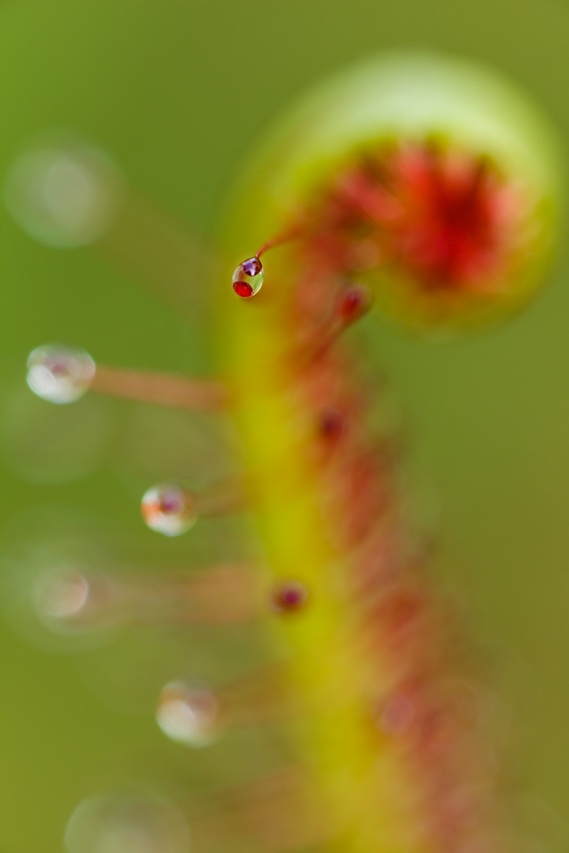 20130611_0067-1681.jpg