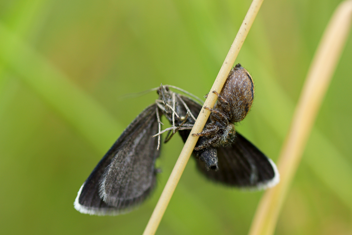 _DSC2284_klein.jpg