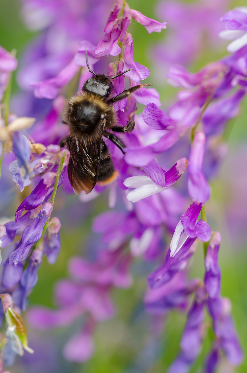 DSC_0090-1_filtered-1200.jpg