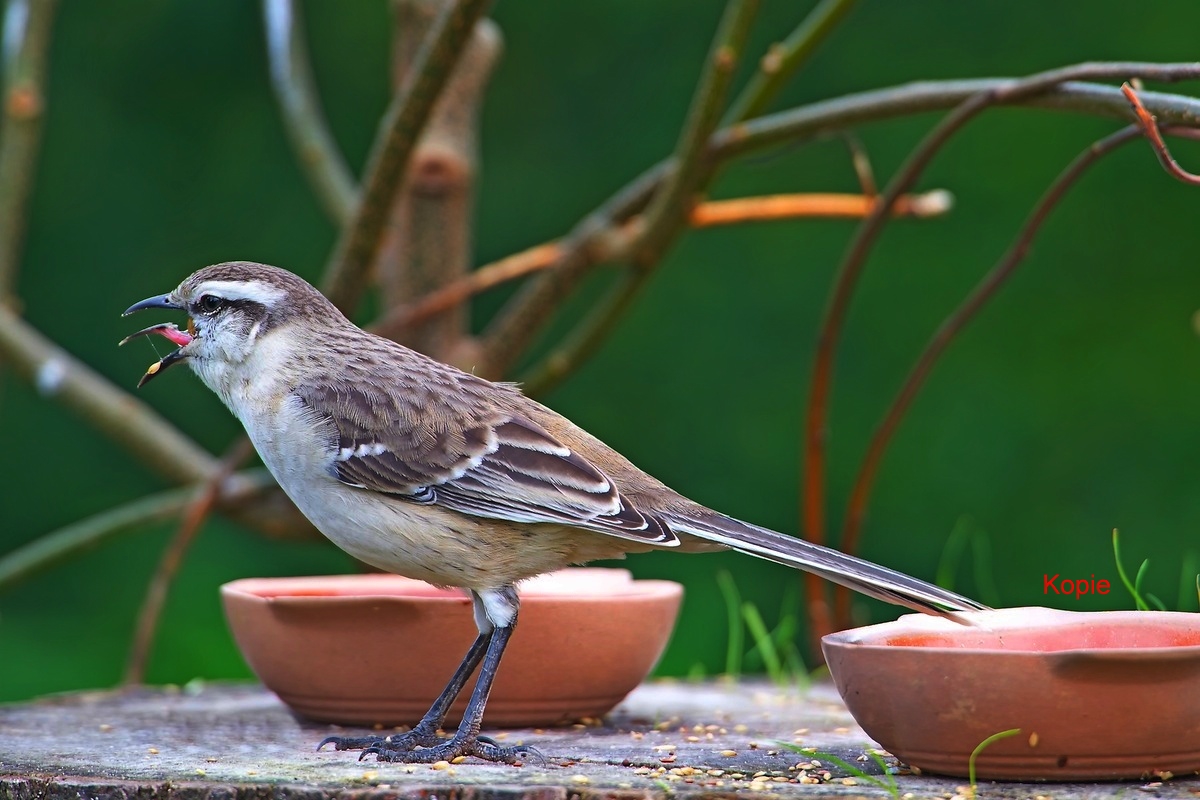 2013_07_007459_643.jpg