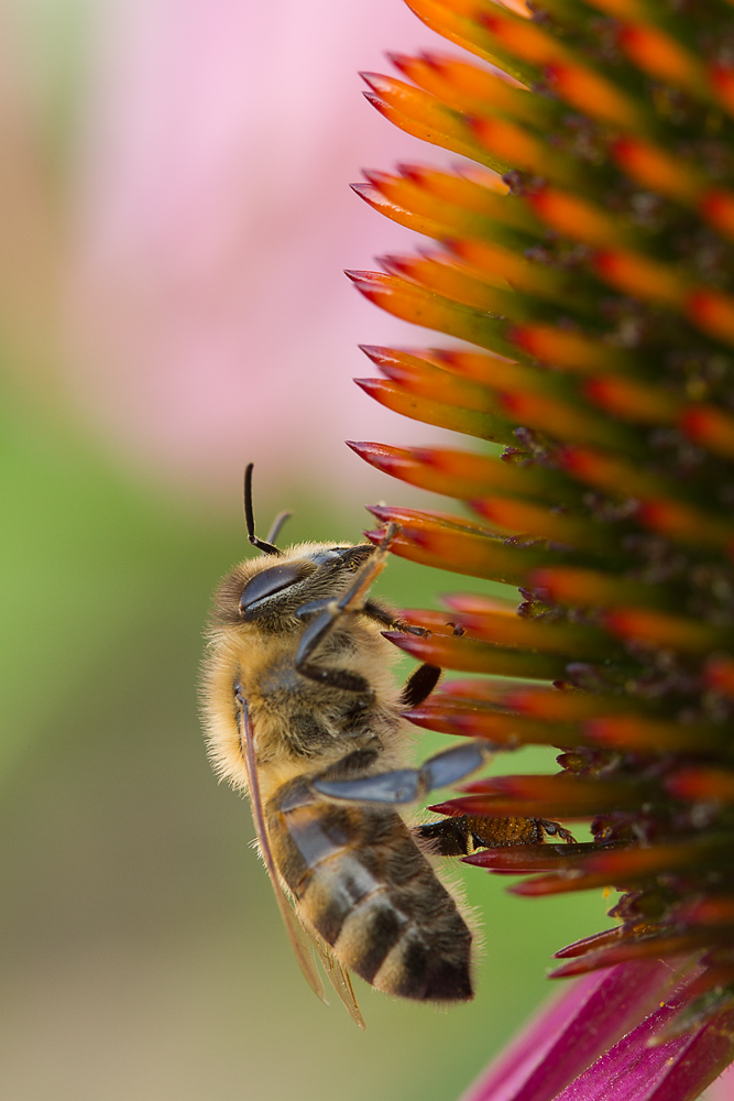 D7__8835_bearbeitet-1.jpg