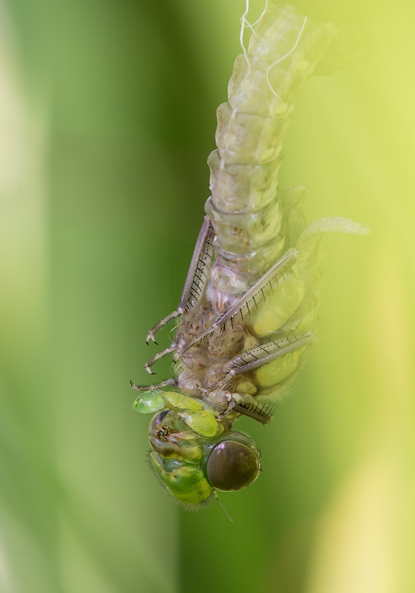 geheim (1 von 1).jpg