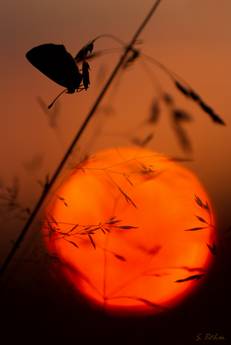 sunset2 (1 von 1).JPG