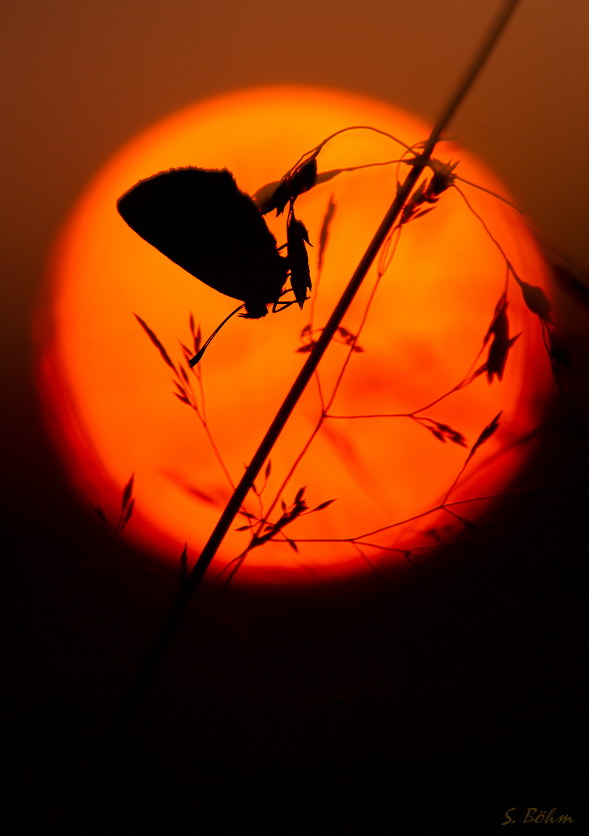 sunset1 (1 von 1).JPG