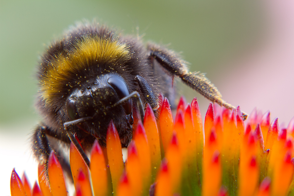 D7__8891_bearbeitet-1.jpg