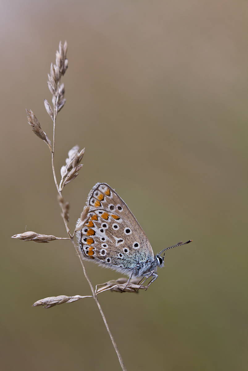 IMG_5856-1web.jpg