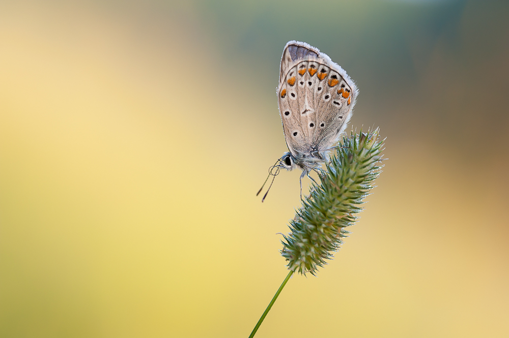 RD7_7010-3.jpg