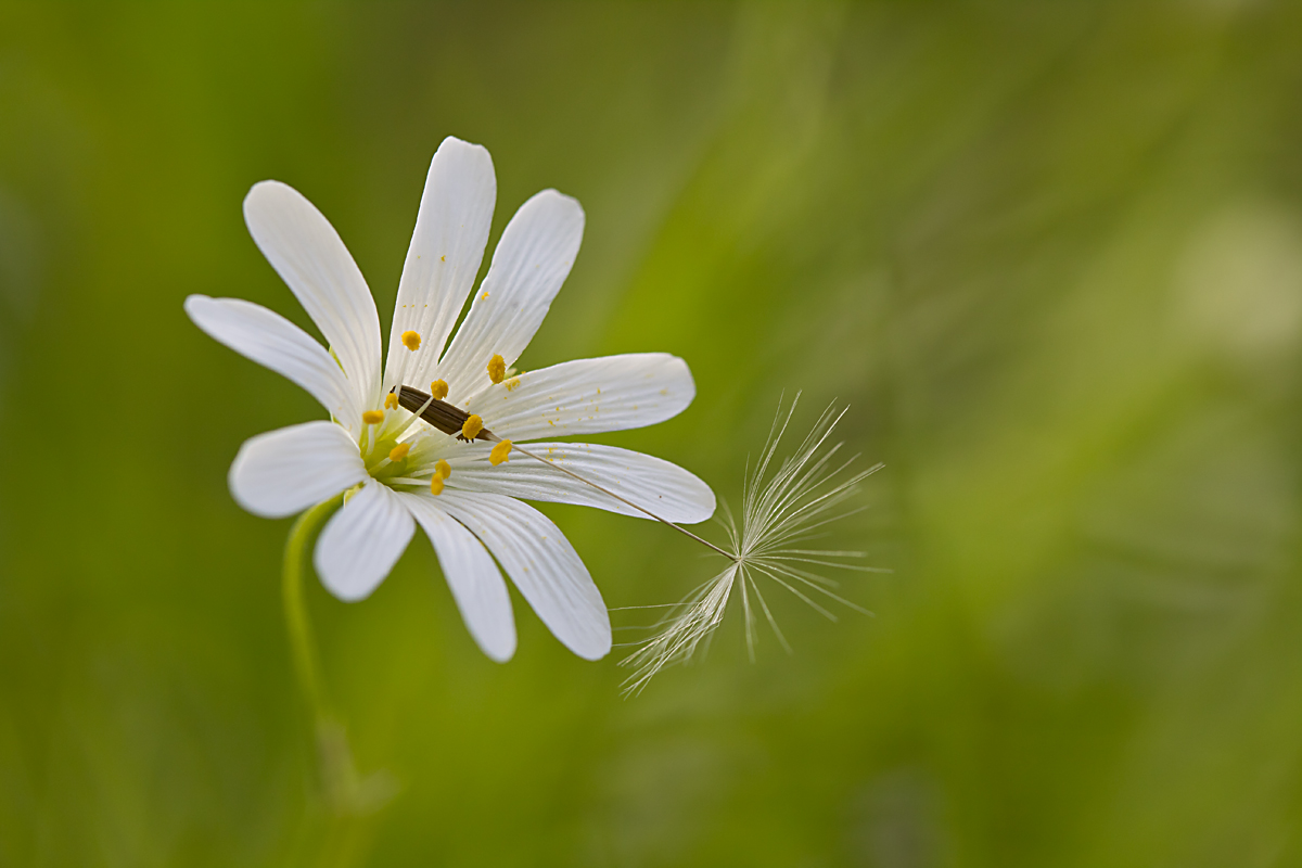 IMG_2418-1web.jpg