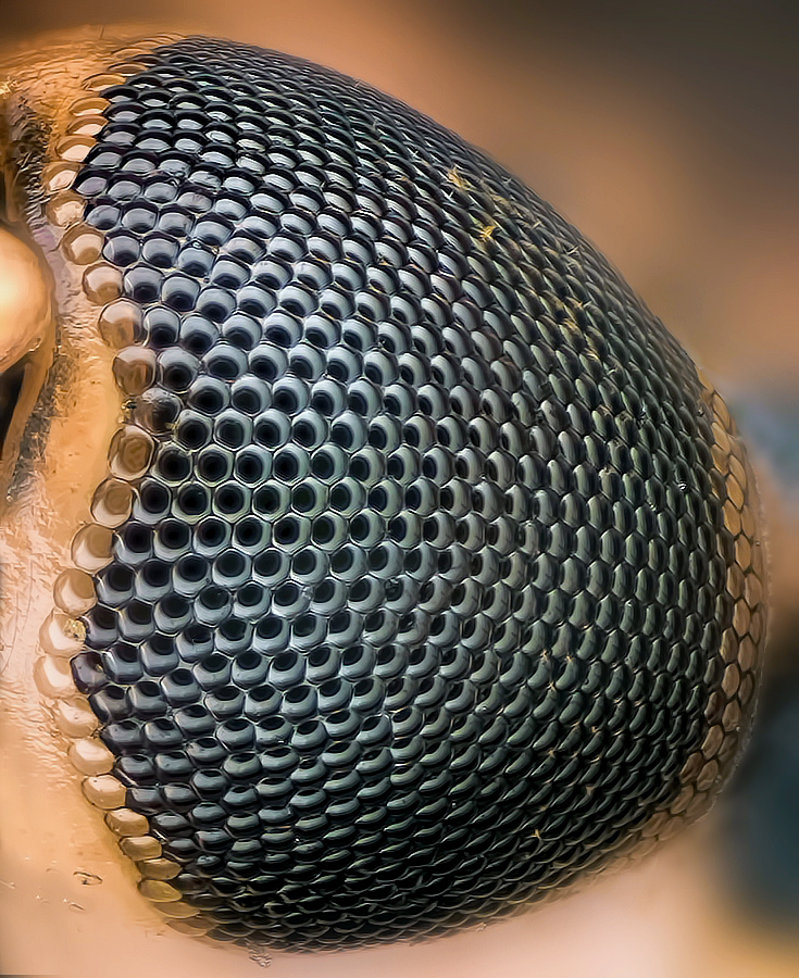 2014-01-22-21.43.34 ZS retouched_stitch_4.jpg