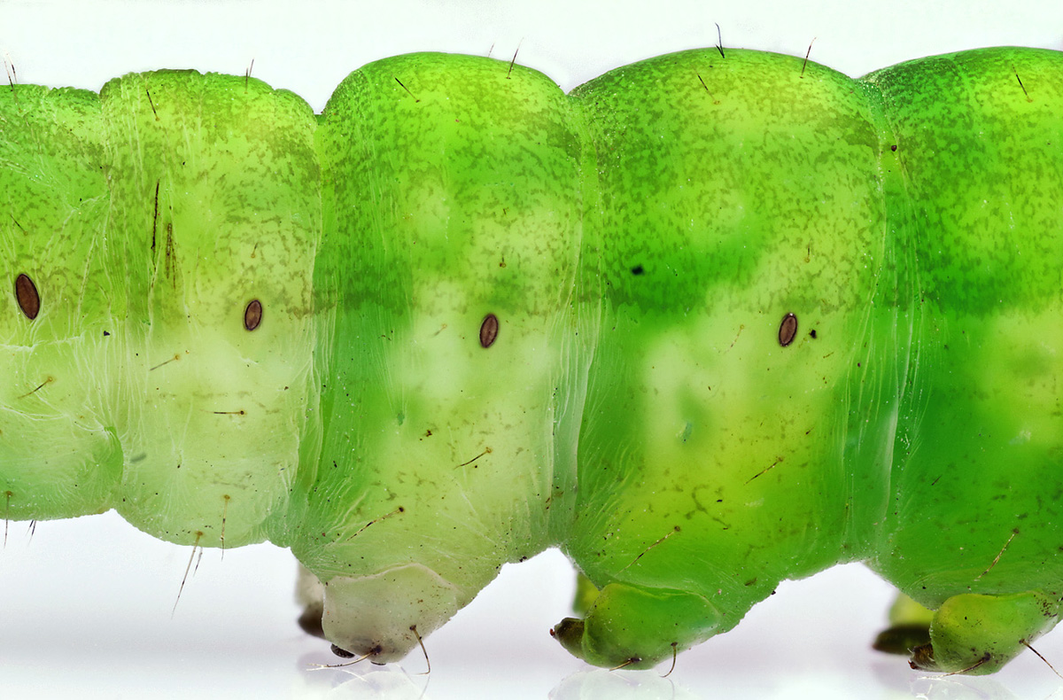 Stack 08-fertigMF.jpg