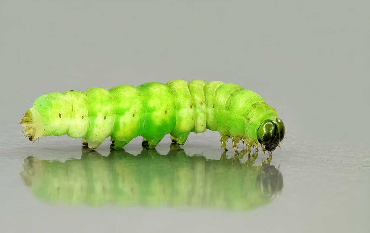 MF Stack 03-fertig.jpg