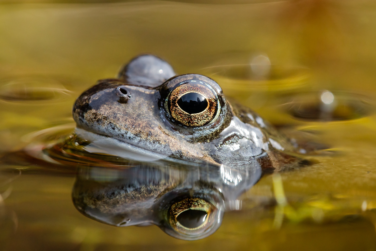 20140319_0137-Kopie.jpg